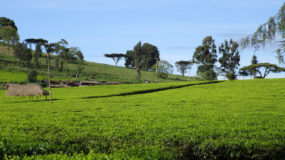 Two mountaineers from south tyrol on their way to Mount Kenya