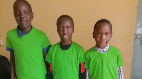 distribution of the new items in Kenya