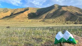 die Weite der Mongolei